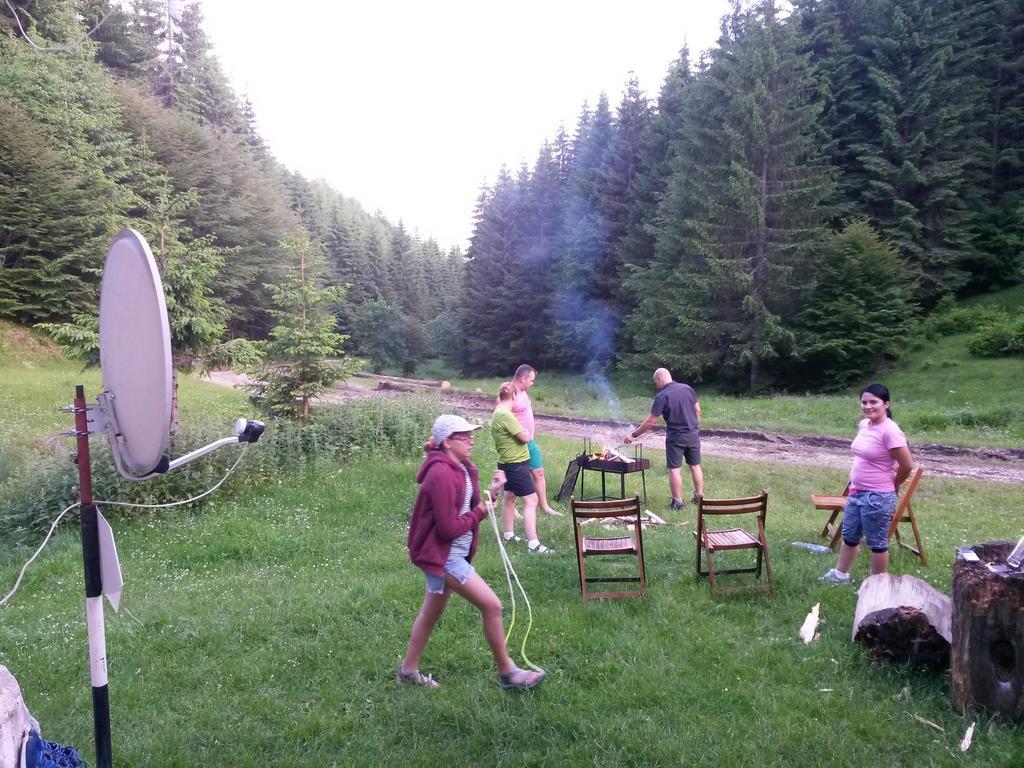 Cabana Pietricica Dîmbovicioara المظهر الخارجي الصورة